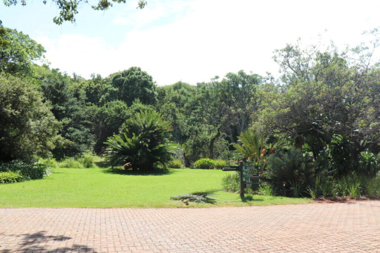 Pretoria Botanical Gardens Entrance Fee