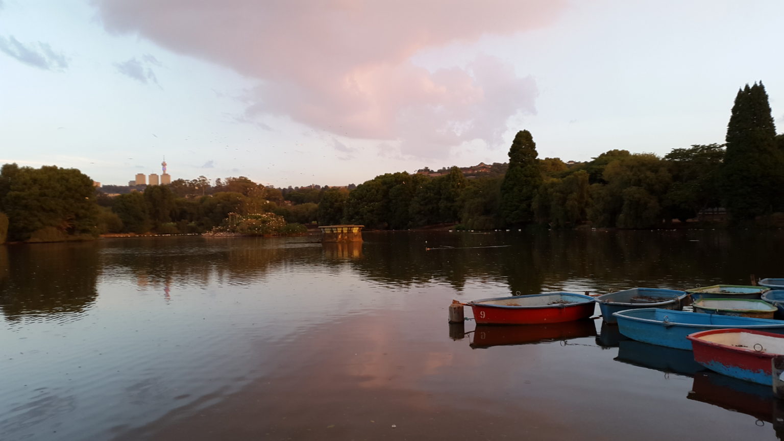 restaurants in zoo lake