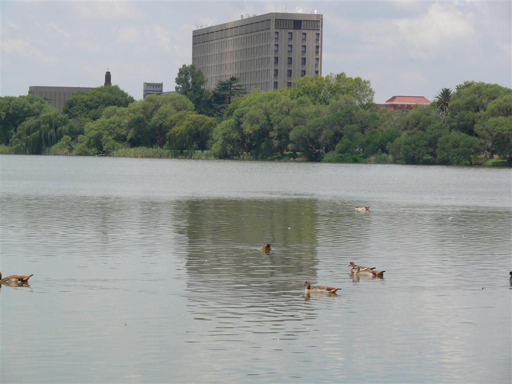 Boksburg lake