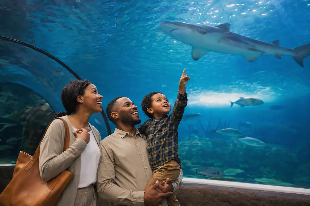 A family enjoying an aquarium visit